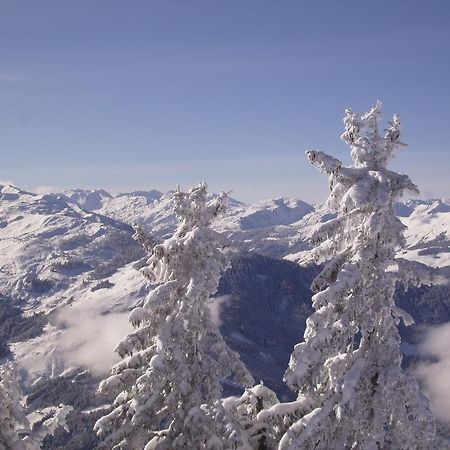 Apartment Landhaus Krall Westendorf Luaran gambar